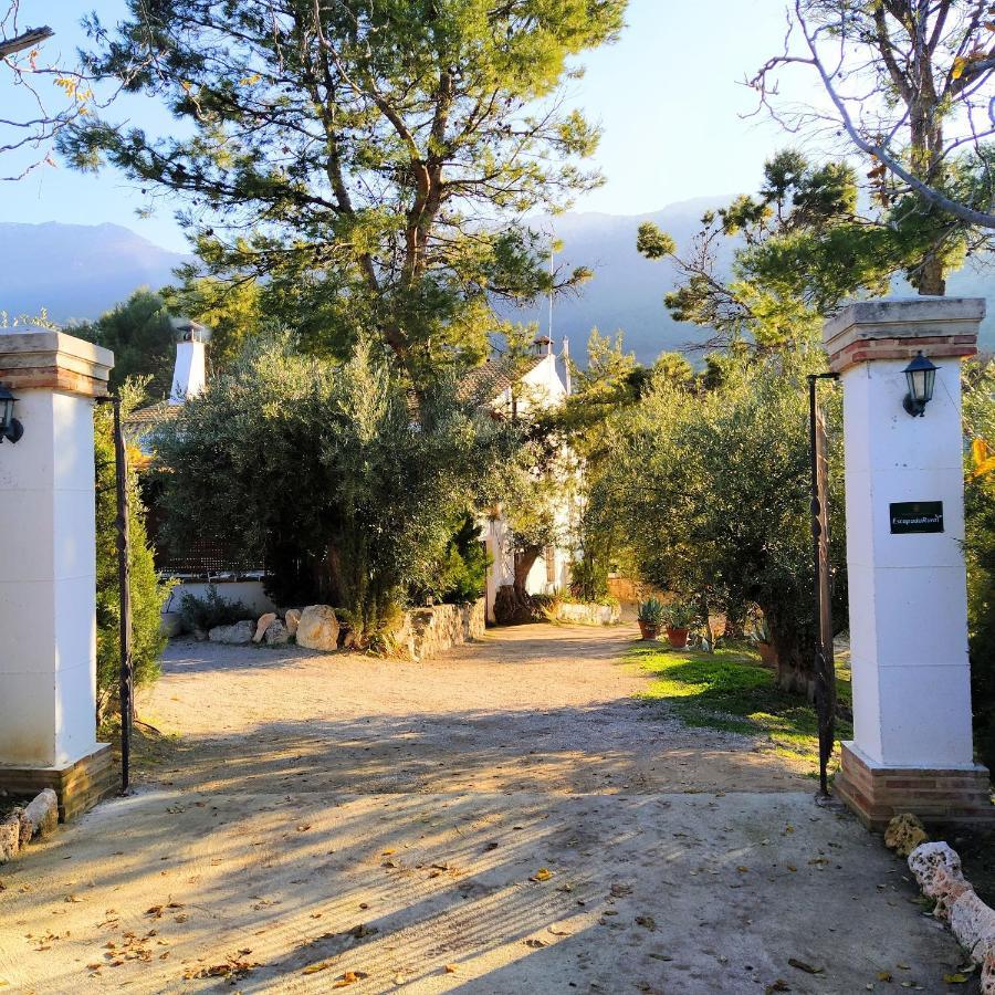 Rural Medios Panes